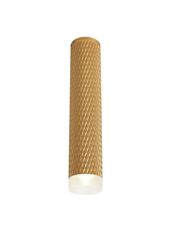 DELPH 1 Light 30cm Surface Mounted Ceiling GU10, Champagne Gold/Acrylic Ring