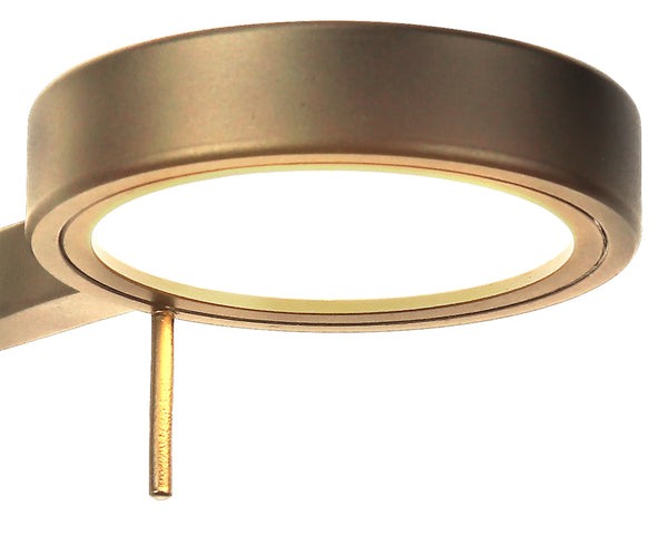 Read Adjustable Wall Light